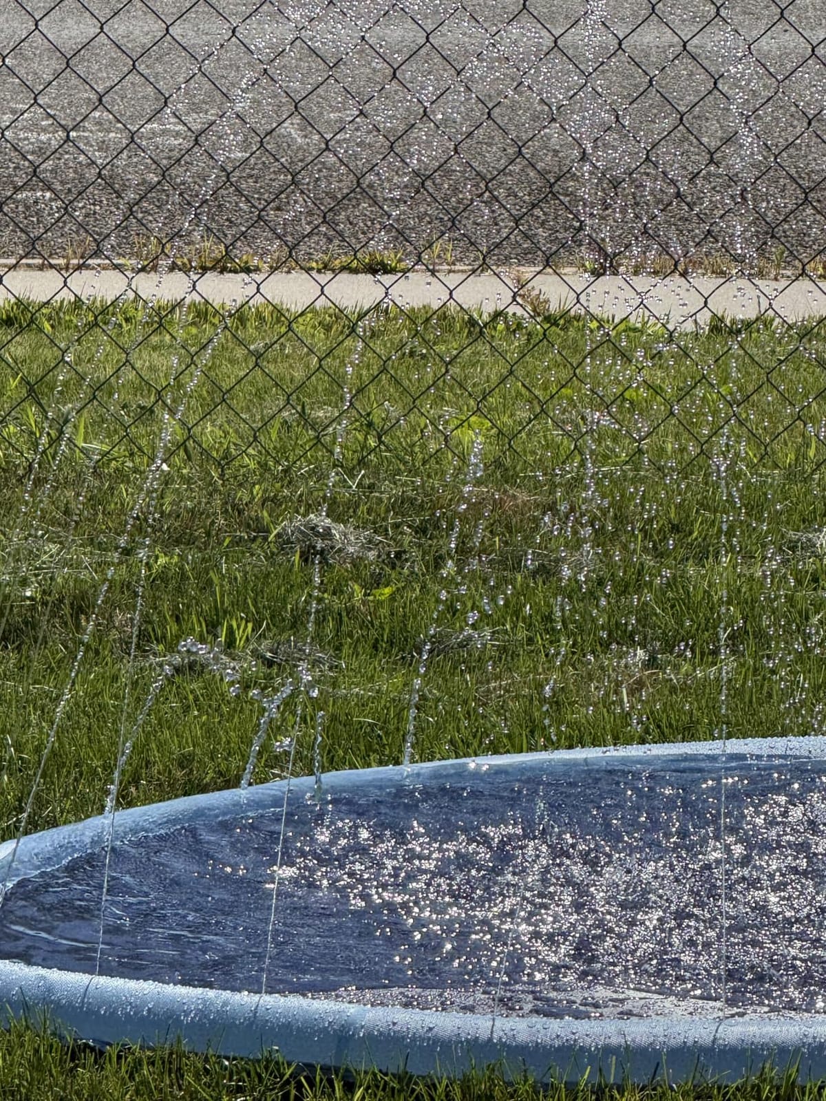 COMMOUDS Splash Pad for Kids and Dogs, Non-Slip Sprinkler Pad Thicken Pool Summer Outdoor Water Toys, Backyard Fountain Play Mat for Baby Toddlers Boys Girls Pet(67Inch) customer photo 1