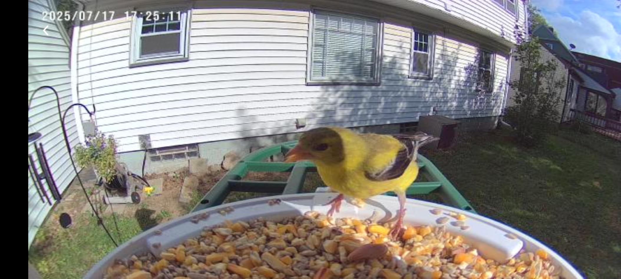 HARYMOR Bird Feeder with Camera, 2K Live Video, AI Identify Bird Species customer photo 2