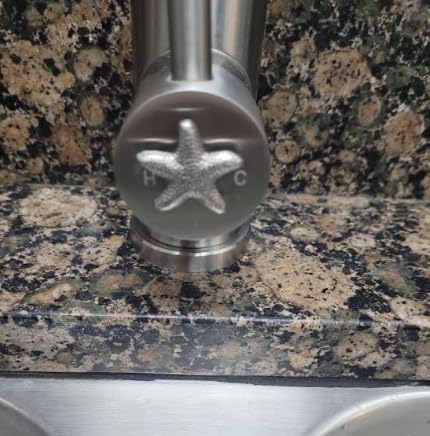 FORIOUS Touchless Kitchen Faucet with Soap Dispenser, Brushed Nickel customer photo 1