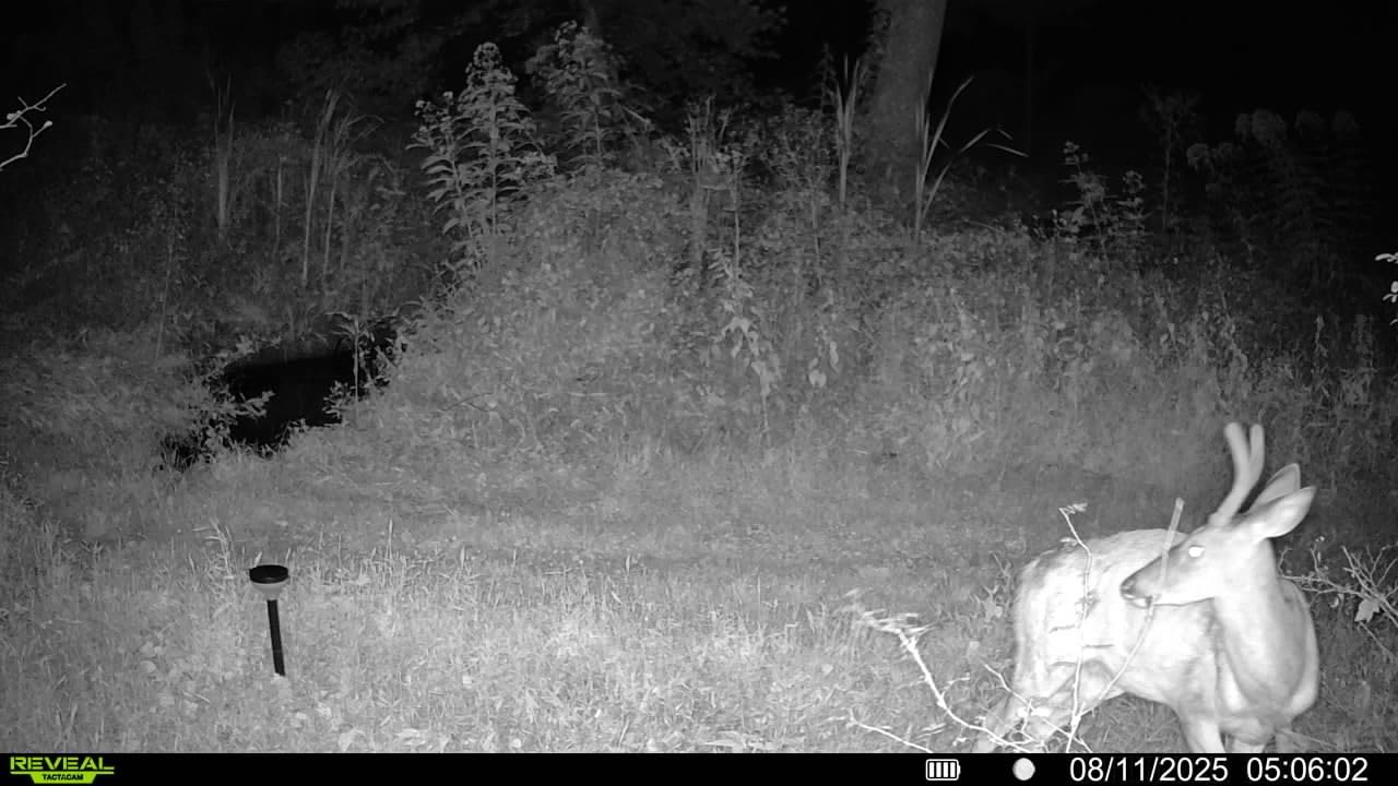 TACTACAM Reveal Ultra Cellular Trail Camera: 4K Photo, 1080p Video, Live View, GPS Tracking-Enabled, Switchable No-Glow/Low-Glow Flash, LTE Connectivity, LCD Screen - Best Hunting, Game Camera customer photo 2