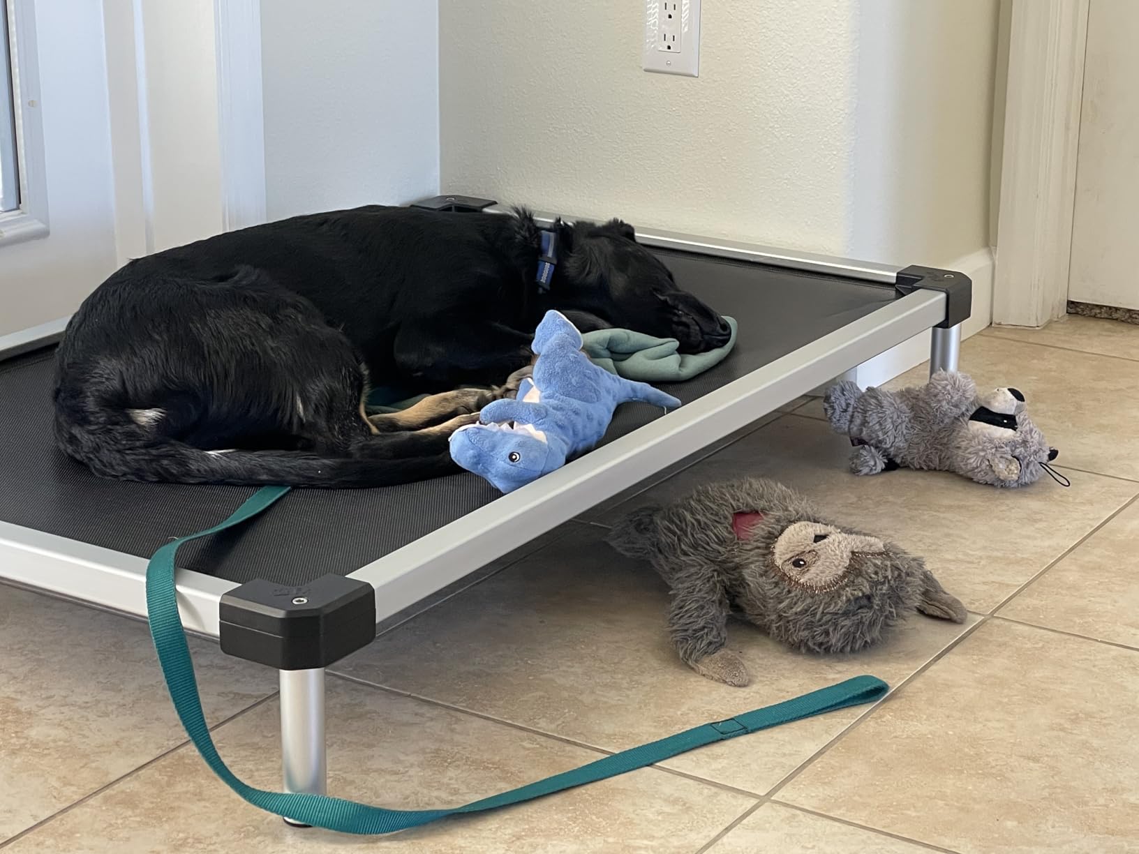 FXW TitanNest Cooling Chew-Proof Elevated Dog Bed for Medium Dogs customer photo 1