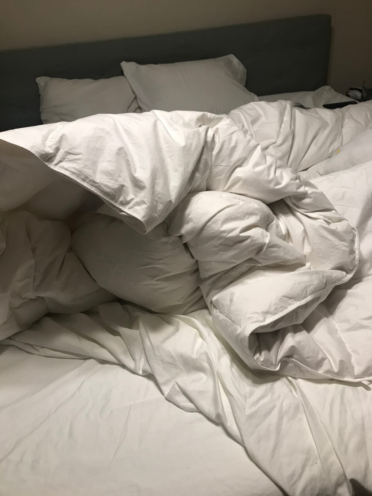C&W Goose Down Comforter Queen Size (90