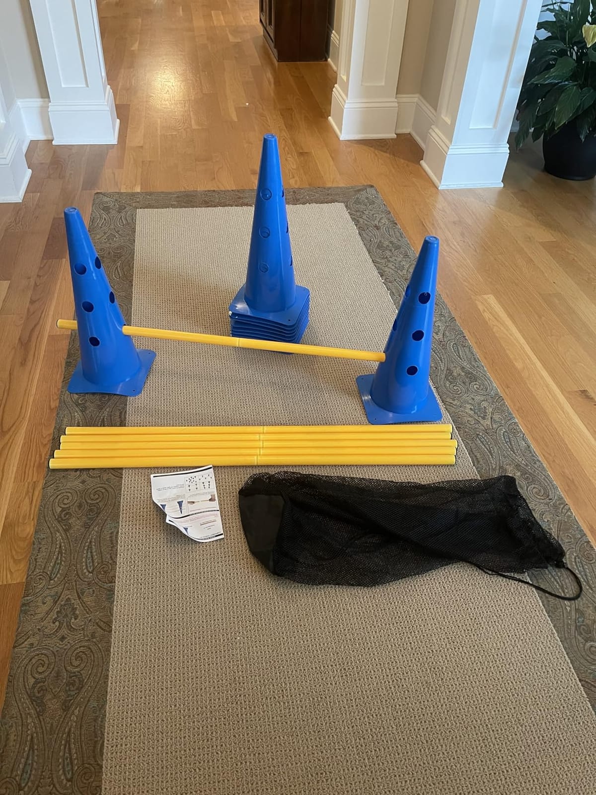 Dog Agility Course Backyard Set, Dog Agility Hurdle Cone Set | w/ Height Adjustable Crossbar for Rehabilitation & Beginners, Dog Agility Equipment for Dog Obstacle Course - 18 Inch customer photo 2