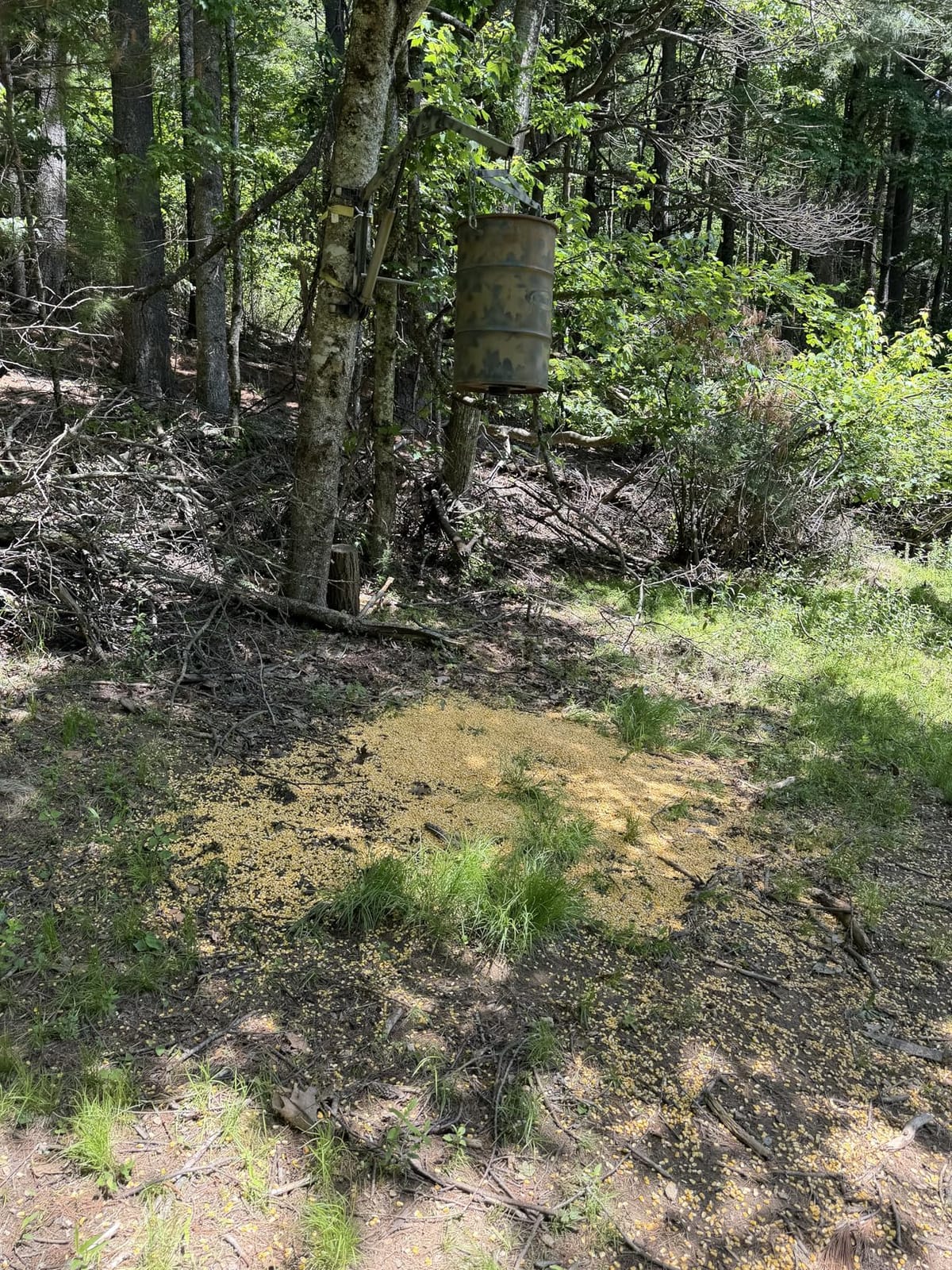 Moultrie Pro Hunter III Feeder Kit - Bluetooth App Control customer photo 1