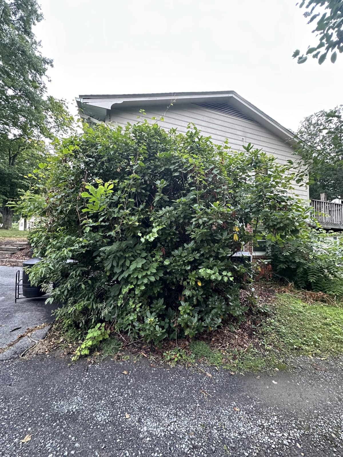 SEESII 6-in-1 Cordless Pole Saw & Hedge Trimmer Combo, Brushless Motor customer photo 2