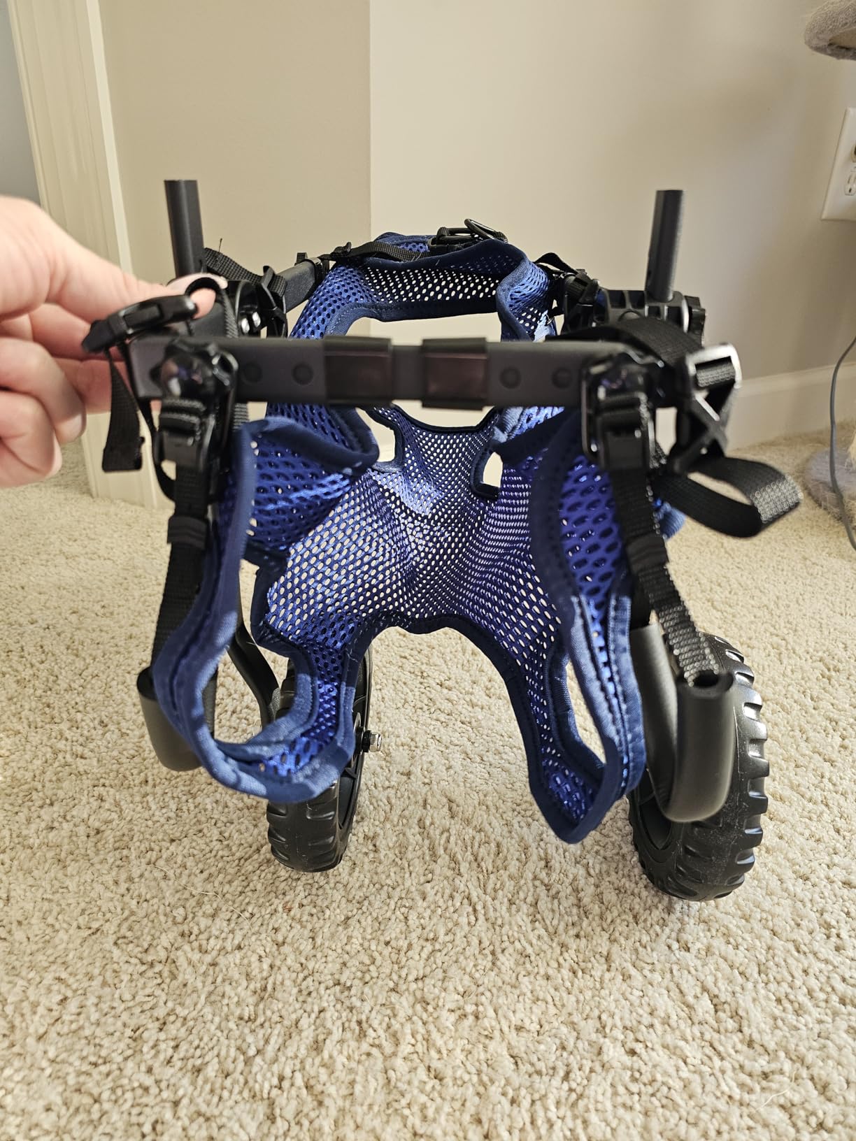 Dog Wheelchair for Back Legs, Dog Wheelchair Cart, Doggy/Cat Wheelchairs with Disabled Hind Legs Walking, Mobility Aids for Small Medium Pet Hind Limbs, Dogs Cart with Wheels, Light Weight, customer photo 1