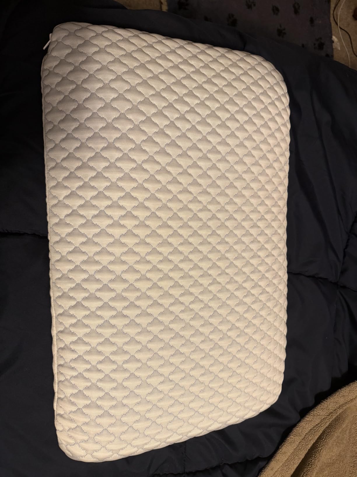 SofGlowly Thin Flat Pillow for Sleeping – 2.25