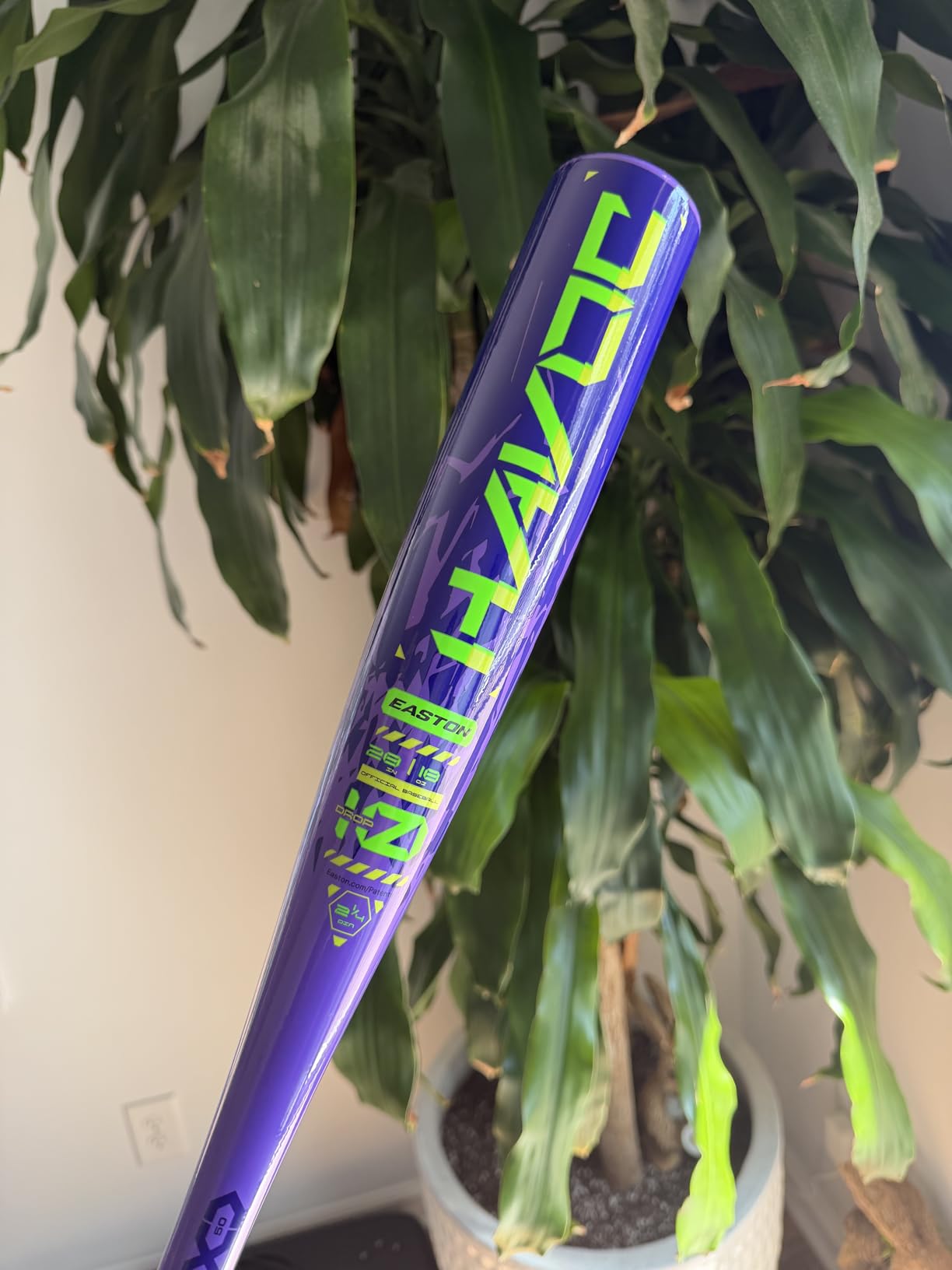 Easton Havoc USA Baseball Bat | -10| 1 Pc. Aluminum customer photo 2
