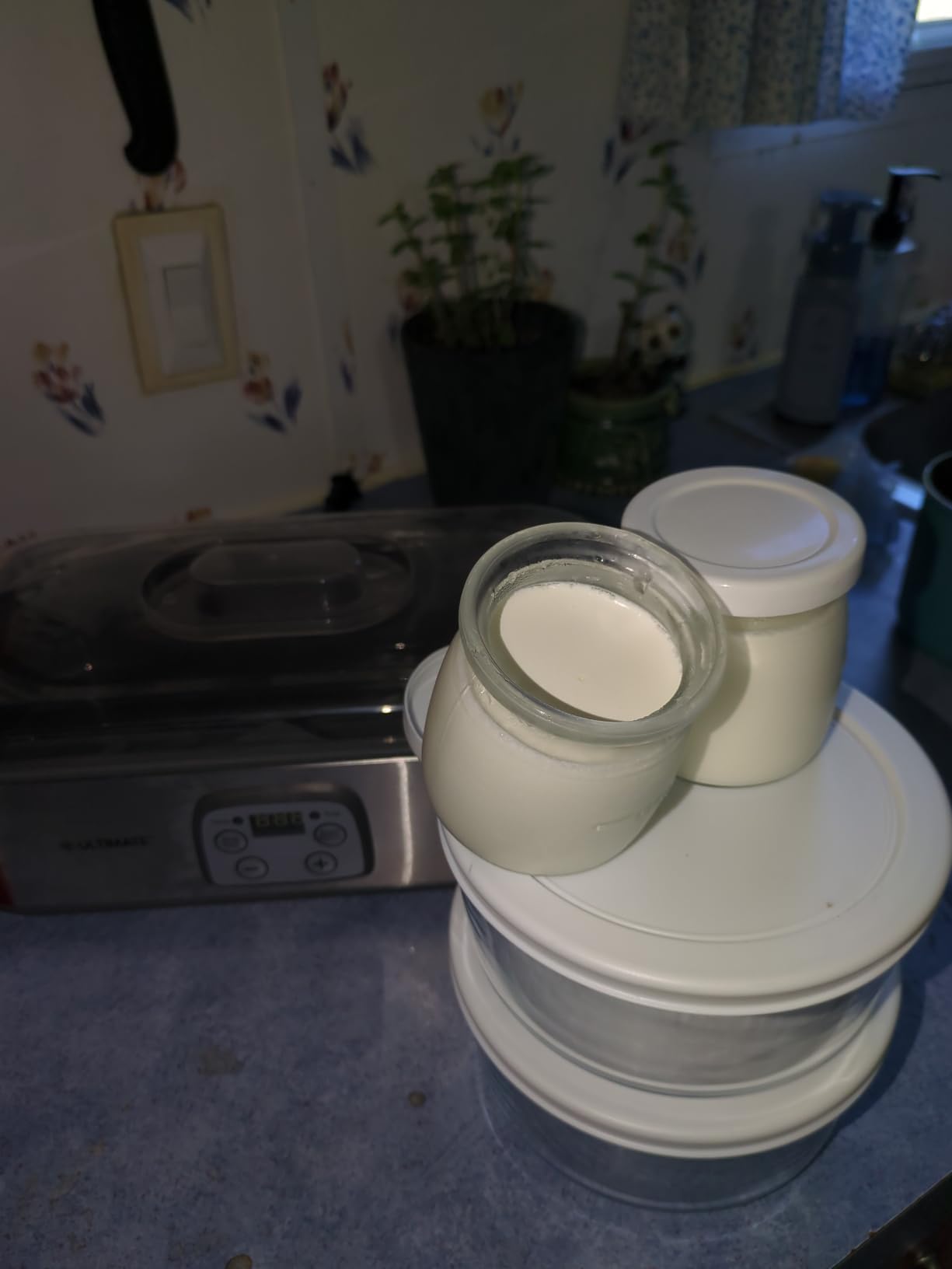 Ultimate Probiotic Yogurt Maker with Adjustable Time & Temperature Control, Make Trillions of Probiotics for Better Gut Health, Two 1-Quart Containers for Larger Batches, UNLIMITED LIFETIME WARRANTY customer photo 2
