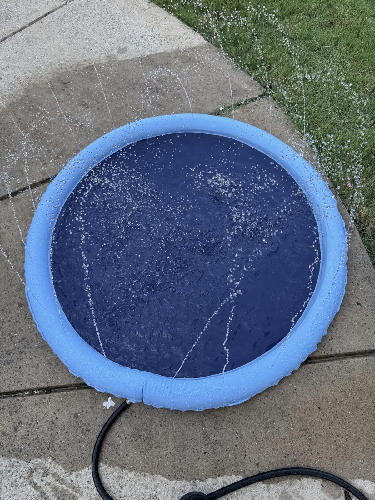Non Slip Splash Pad for Kids and Dogs,60