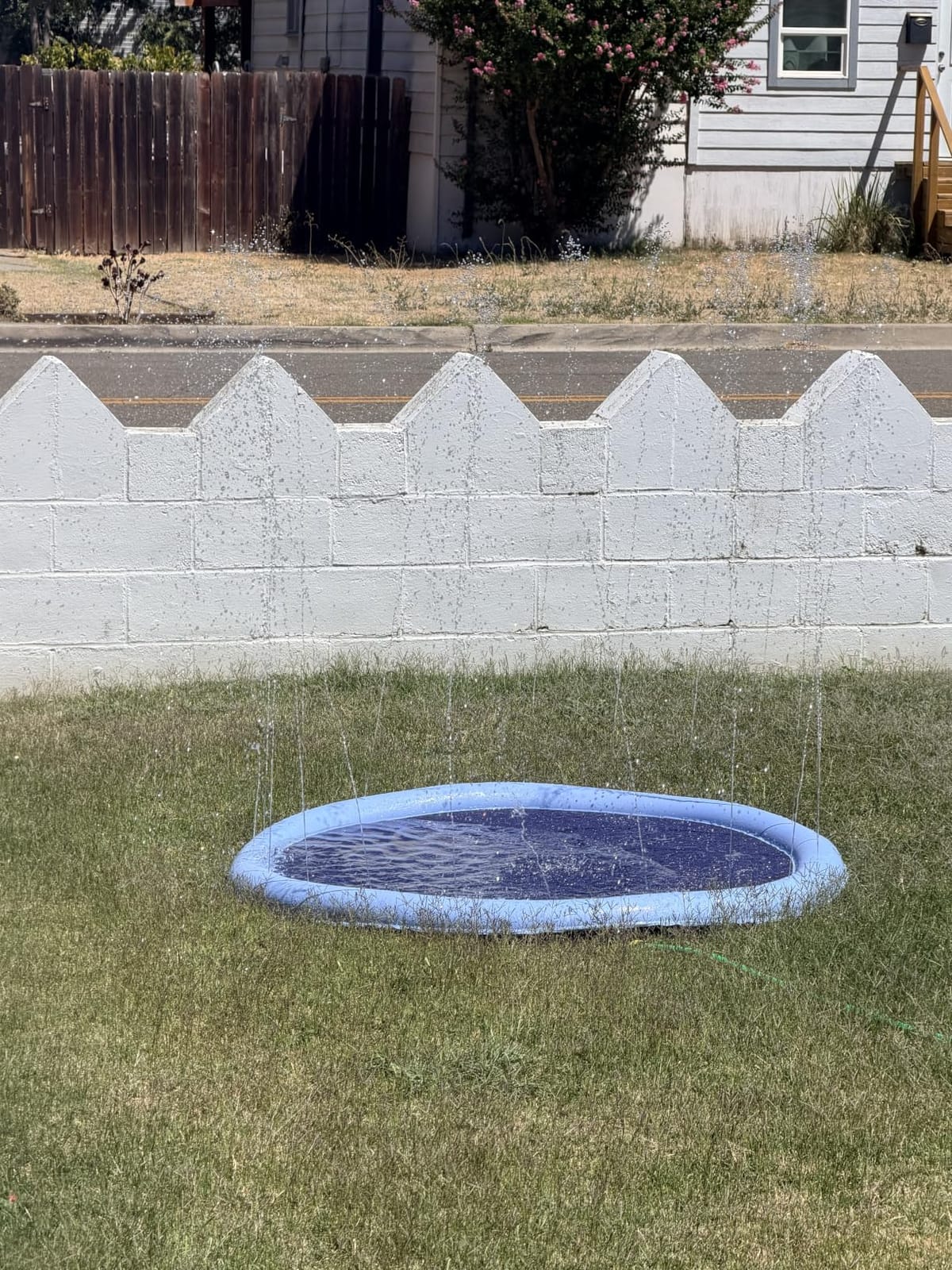 Non Slip Splash Pad for Kids and Dogs,60