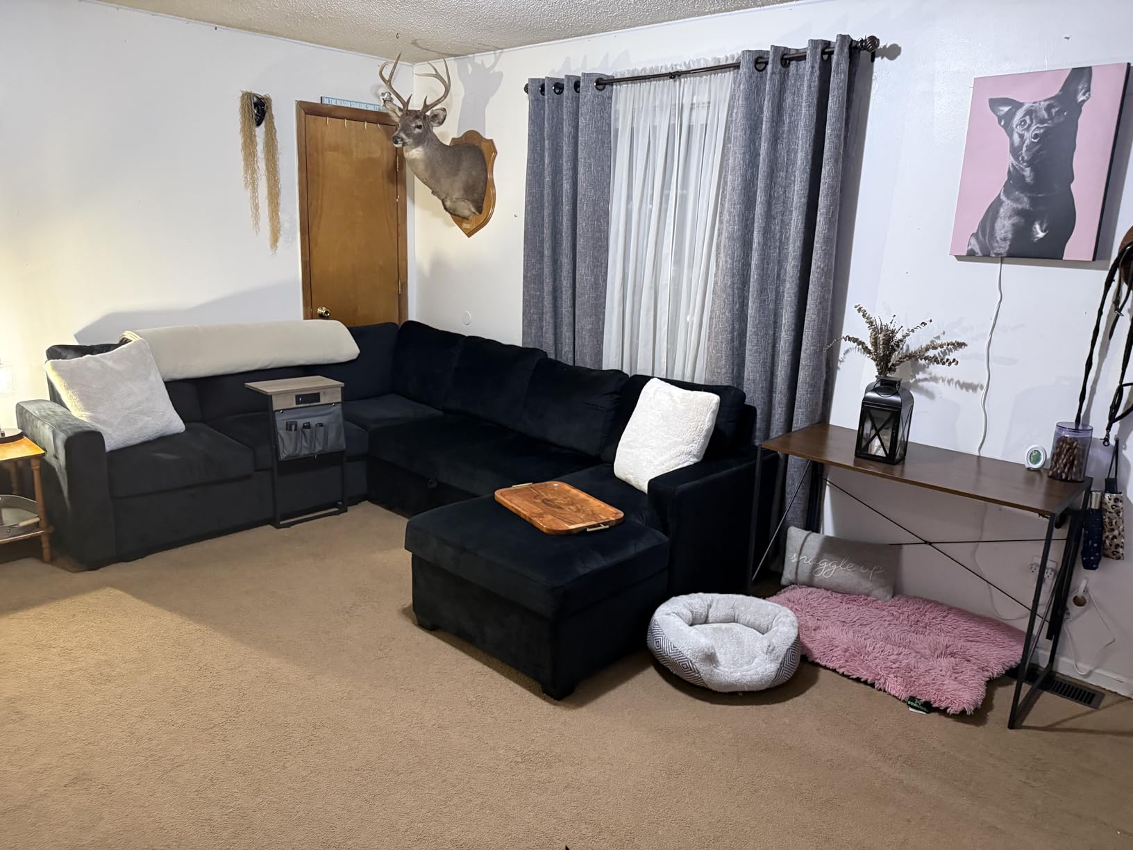 HONBAY Sectional Sleeper Sofa with Pull-Out Bed Storage Chaise, 6 Seater Couch for Living Room, Dark Grey customer photo 2