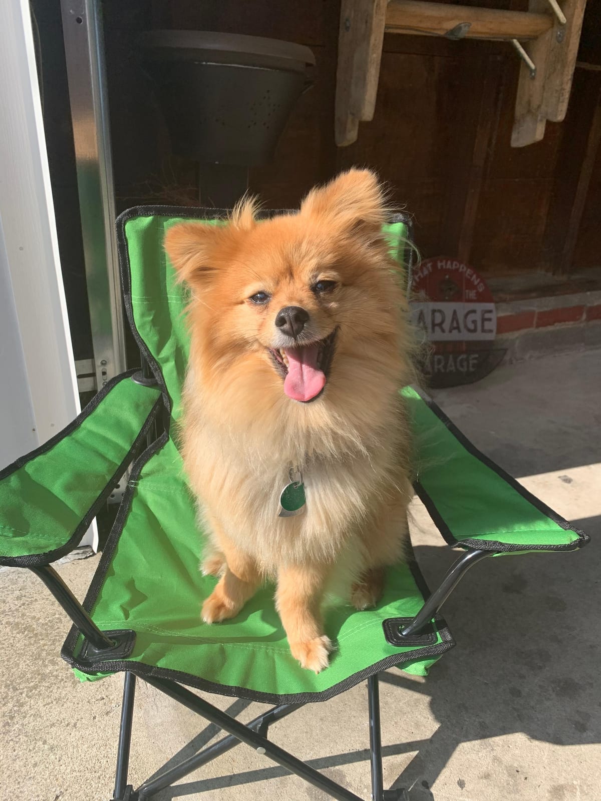 Pacific Play Tents – Kids Folding Chair, 100 lbs. Weight Capacity - Sapphire Blue customer photo 1