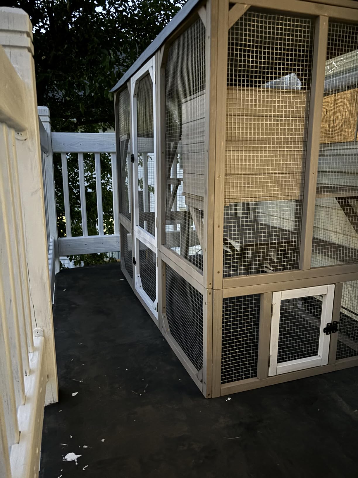 Catio Outdoor Cat Enclosure, Large Walk-in Cat House with Flat Roof customer photo 2