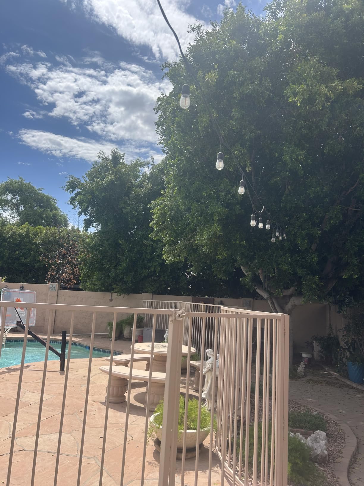 Beatbot iSkim 24/7 Solar Pool Skimmer Robot with App Control, 9L Basket customer photo 2
