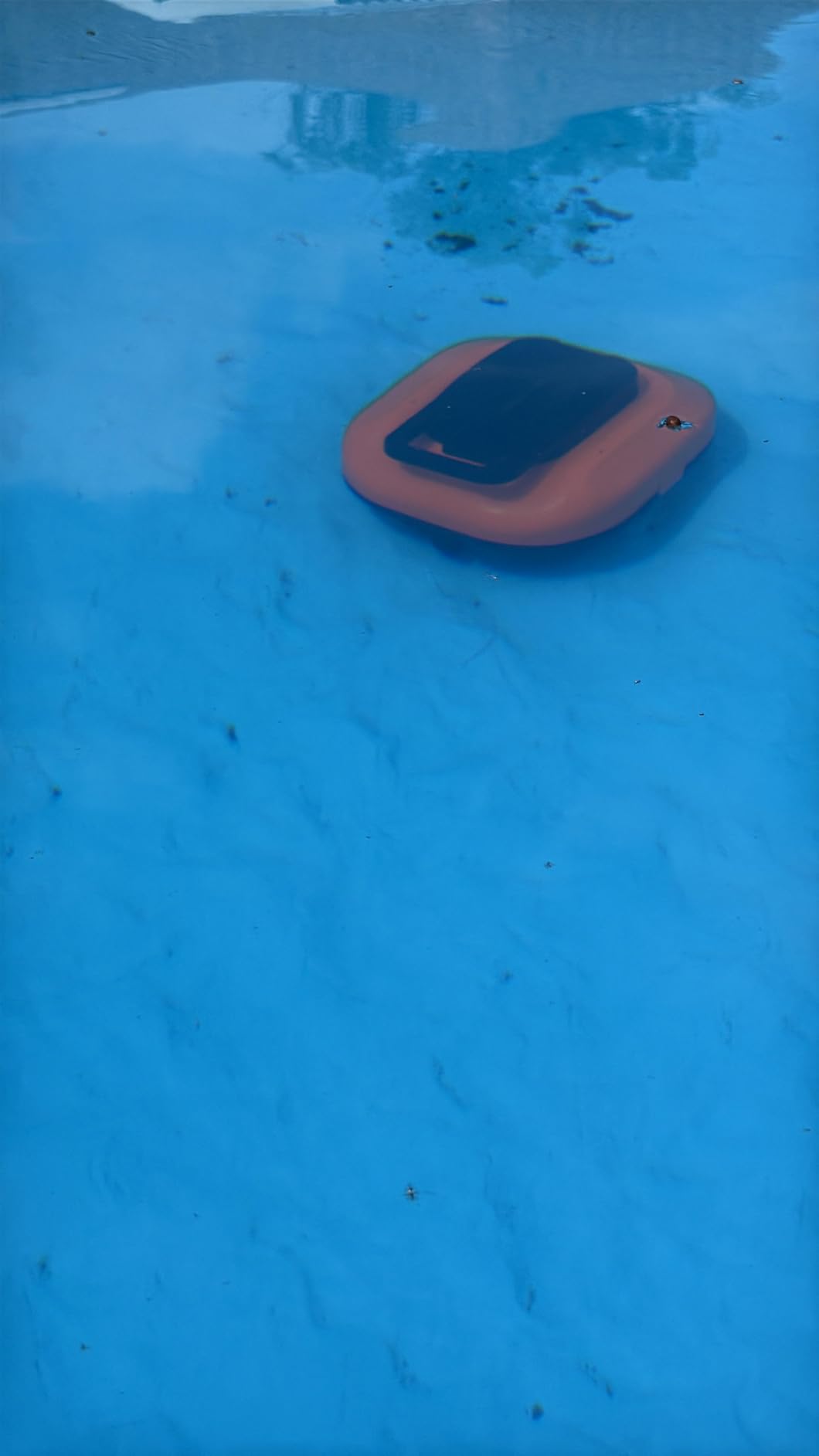 STARRYBOT Robotic Pool Vacuum, Dual-Motor Above-Ground Cleaner customer photo 1