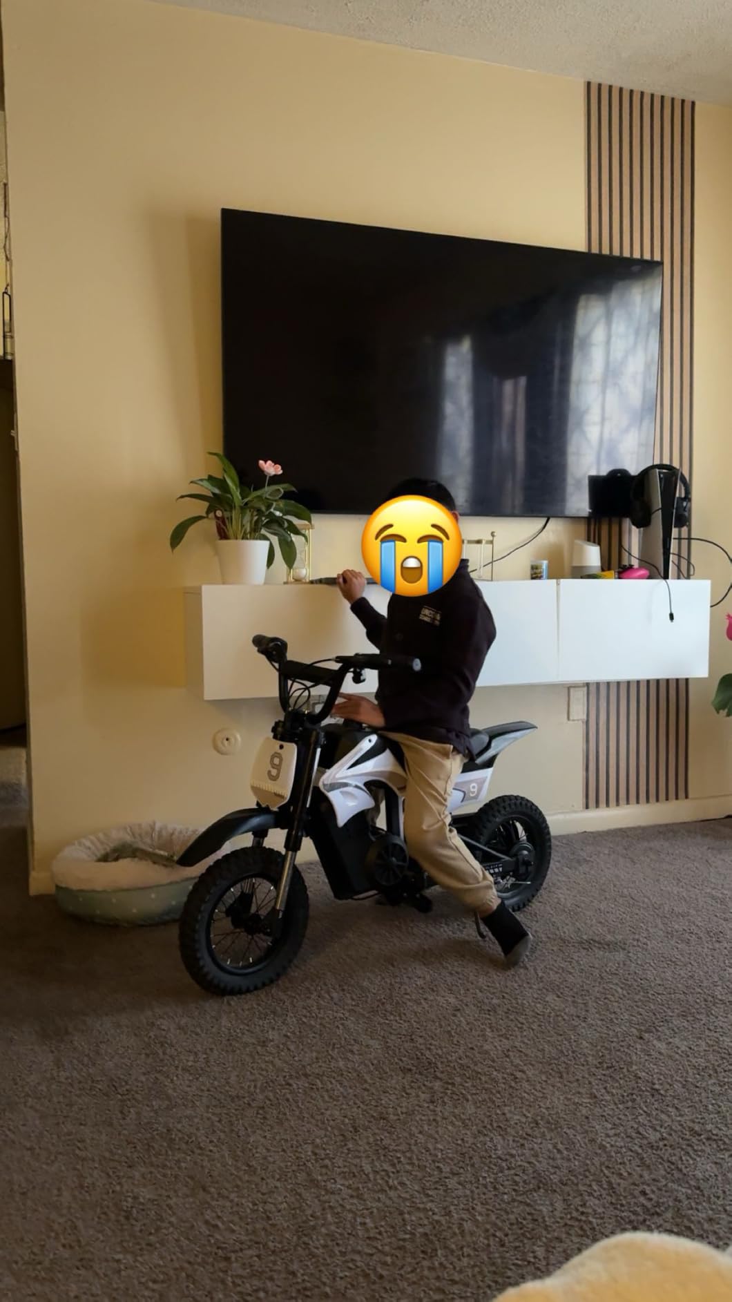K1 Kids Electric Dirt Bike, 36V, 700W, 16 MPH, 14-Mile, Ages 3-10 (Sky Blue) customer photo 1
