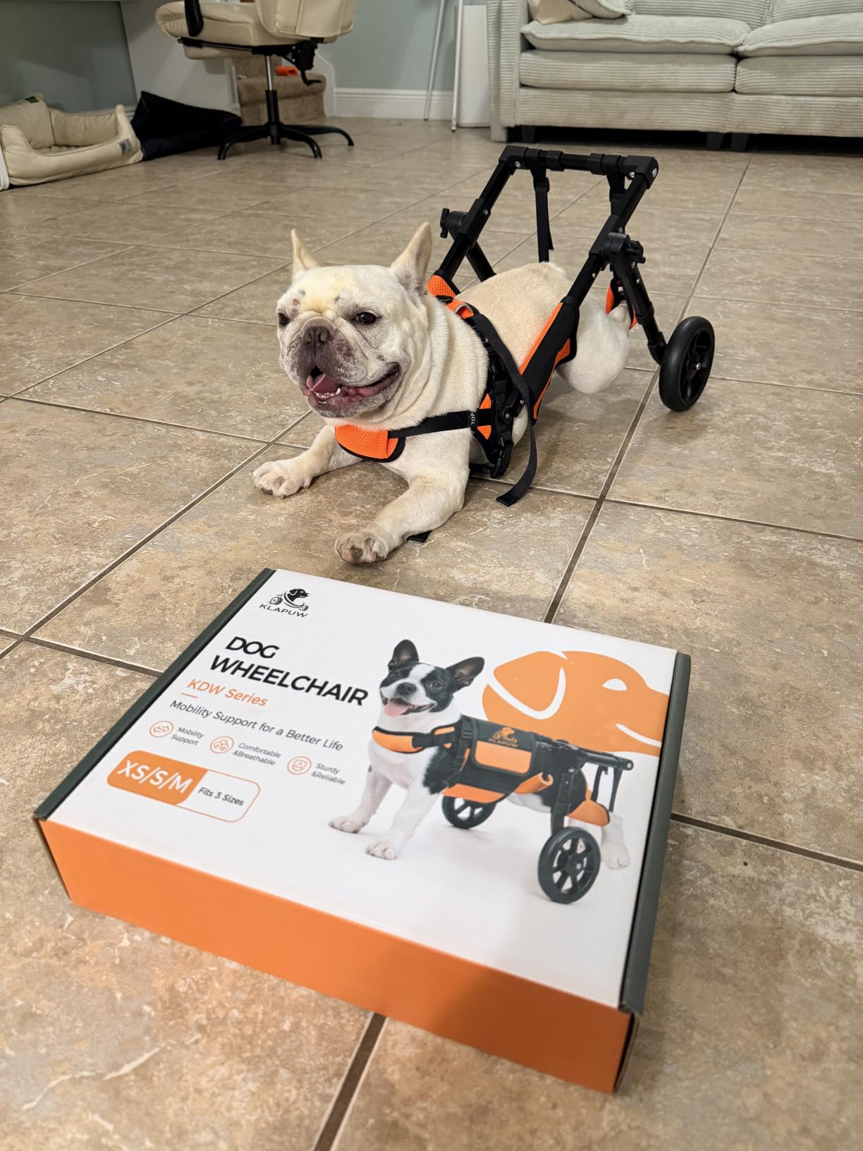Dog Wheelchair for Back Legs, Adjustable Mobility Support for dogs customer photo 1