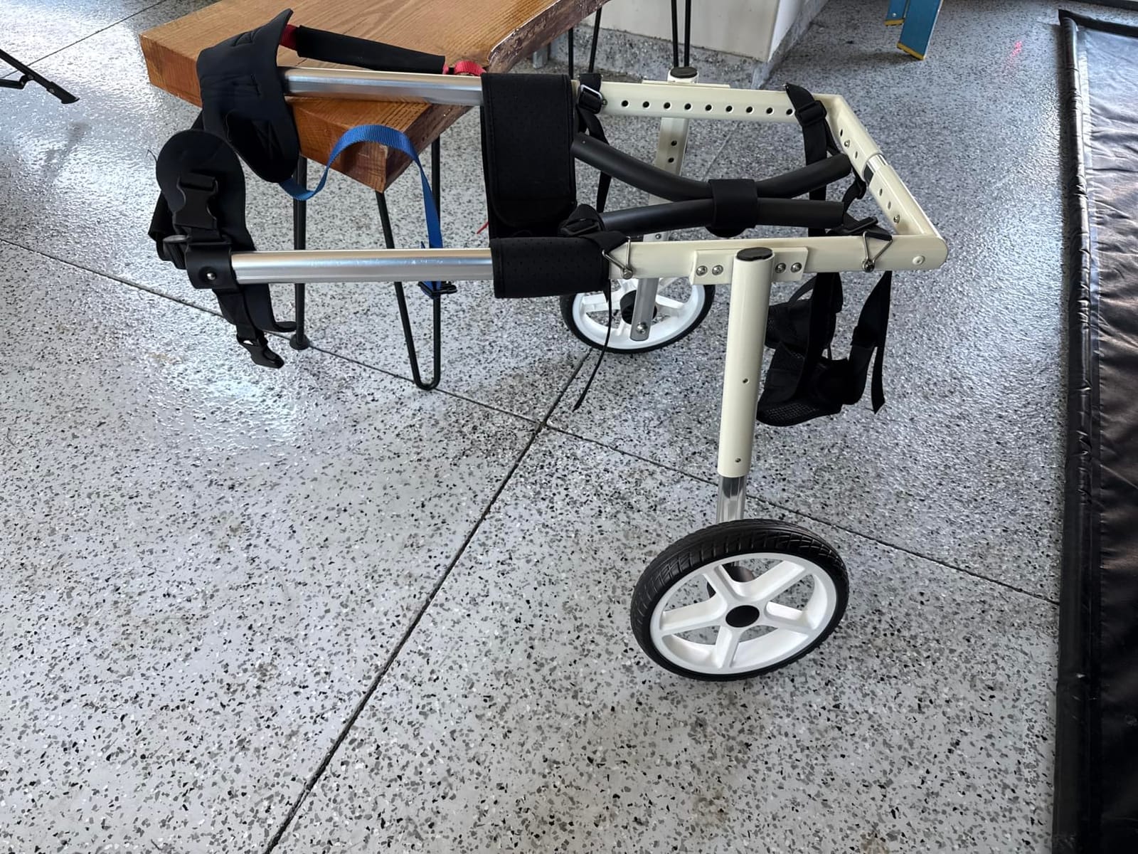 Large Dog Wheelchair for Back Legs, Adjustable Mobility Cart customer photo 1