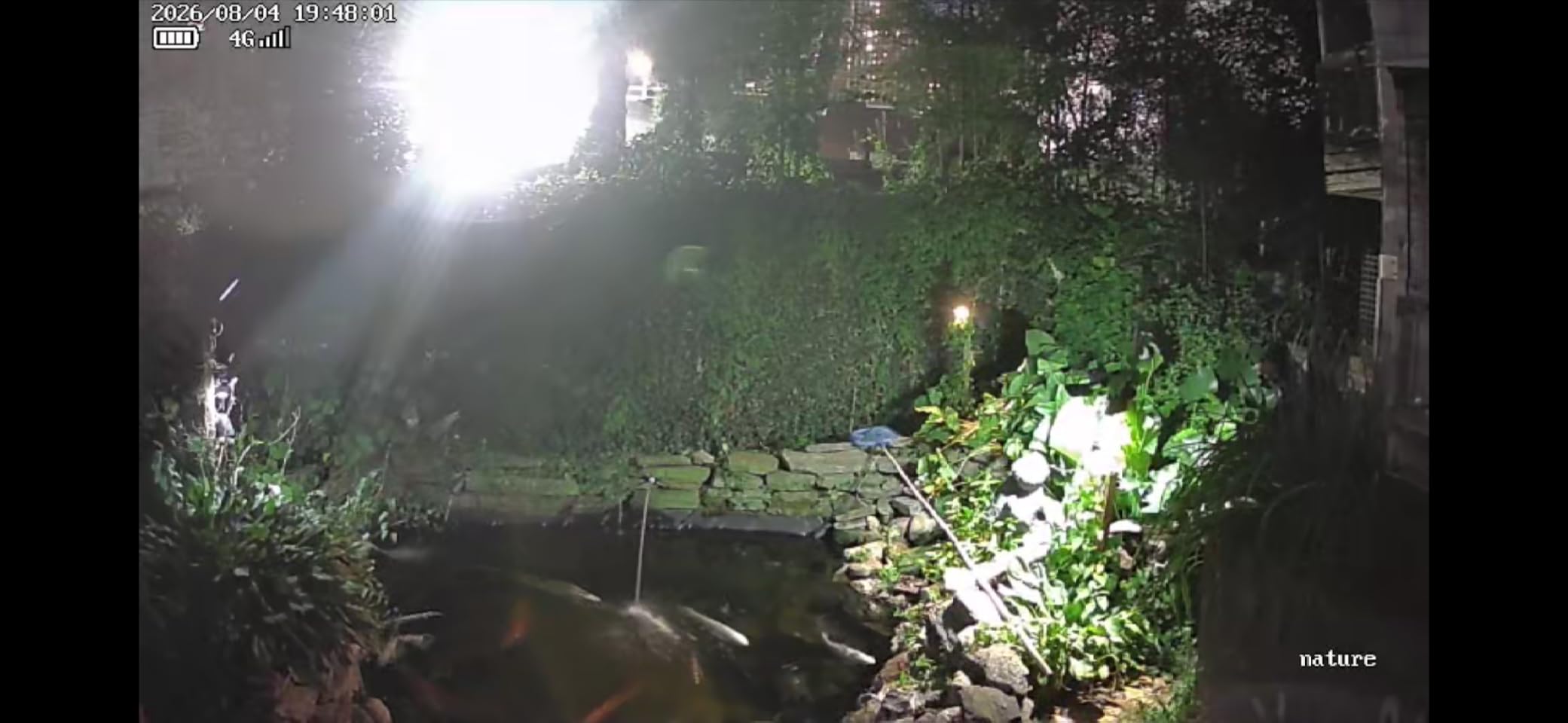 VOOPEAK Trail Camera, 4G LTE Cellular Game Cameras with 360° Live Streaming customer photo 2