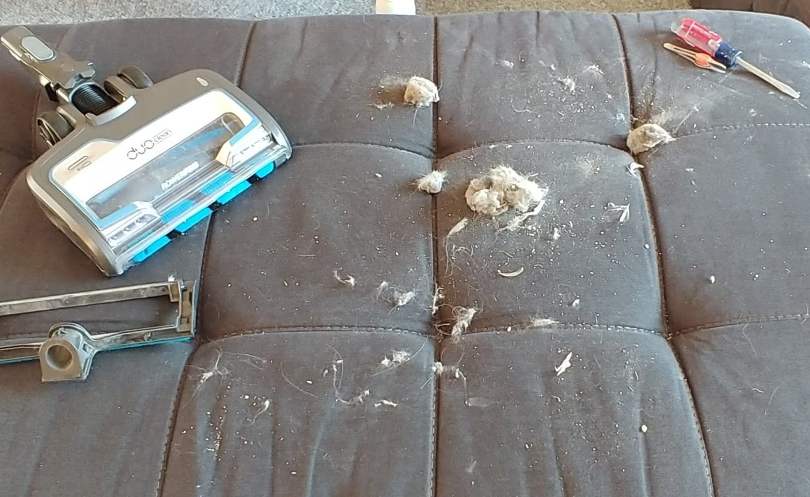 Shark PowerPro™ Flex Pet Plus Cordless Vacuum, Tea Green, IZ388H customer photo 2