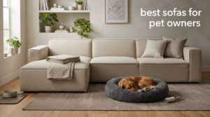 best sofas for pet owners