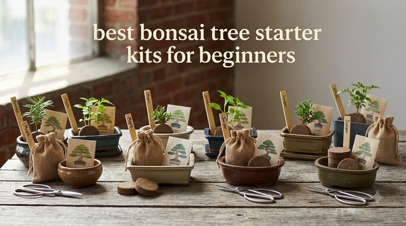 best bonsai tree starter kits for beginners