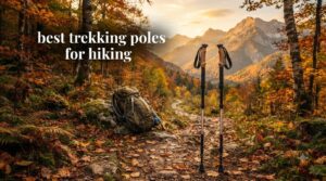 best trekking poles for hiking