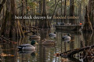 best duck decoys for flooded timber