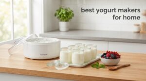 best yogurt makers for home