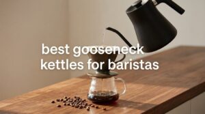 best gooseneck kettles for baristas
