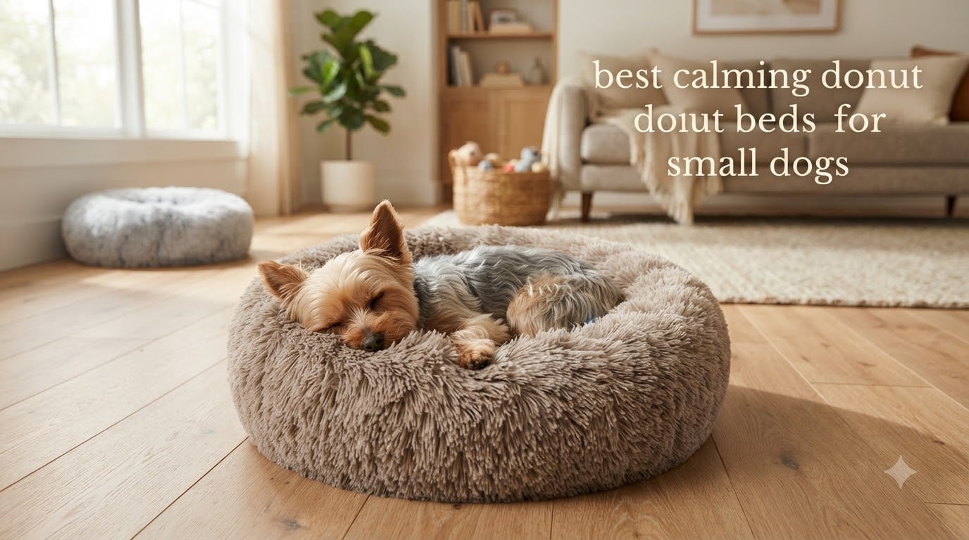 best calming donut beds for small dogs