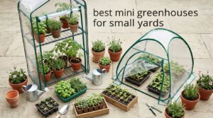 best mini greenhouses for small yards