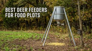 best deer feeders for food plots