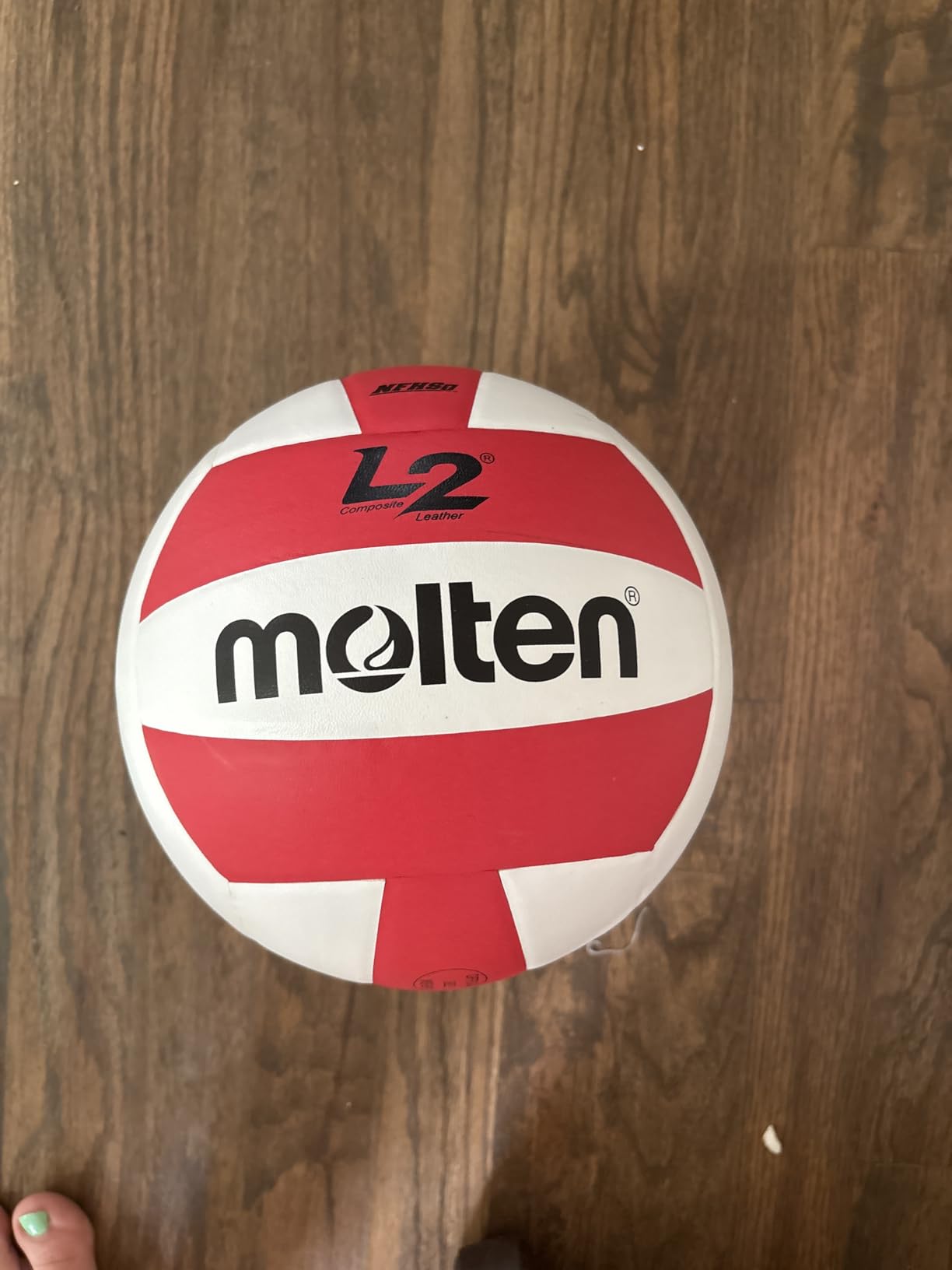Molten L2 Volleyball, NFHS Approved customer photo 1