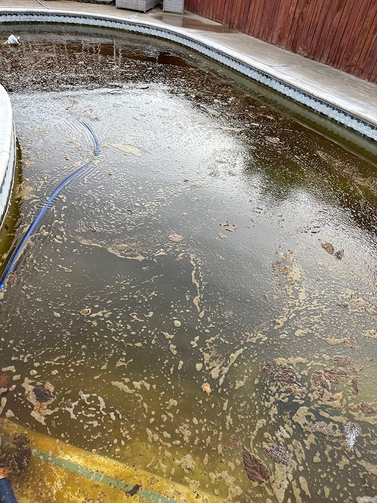 Polaris MAXX Premium Suction-Side Automatic Pool Cleaner customer photo 1