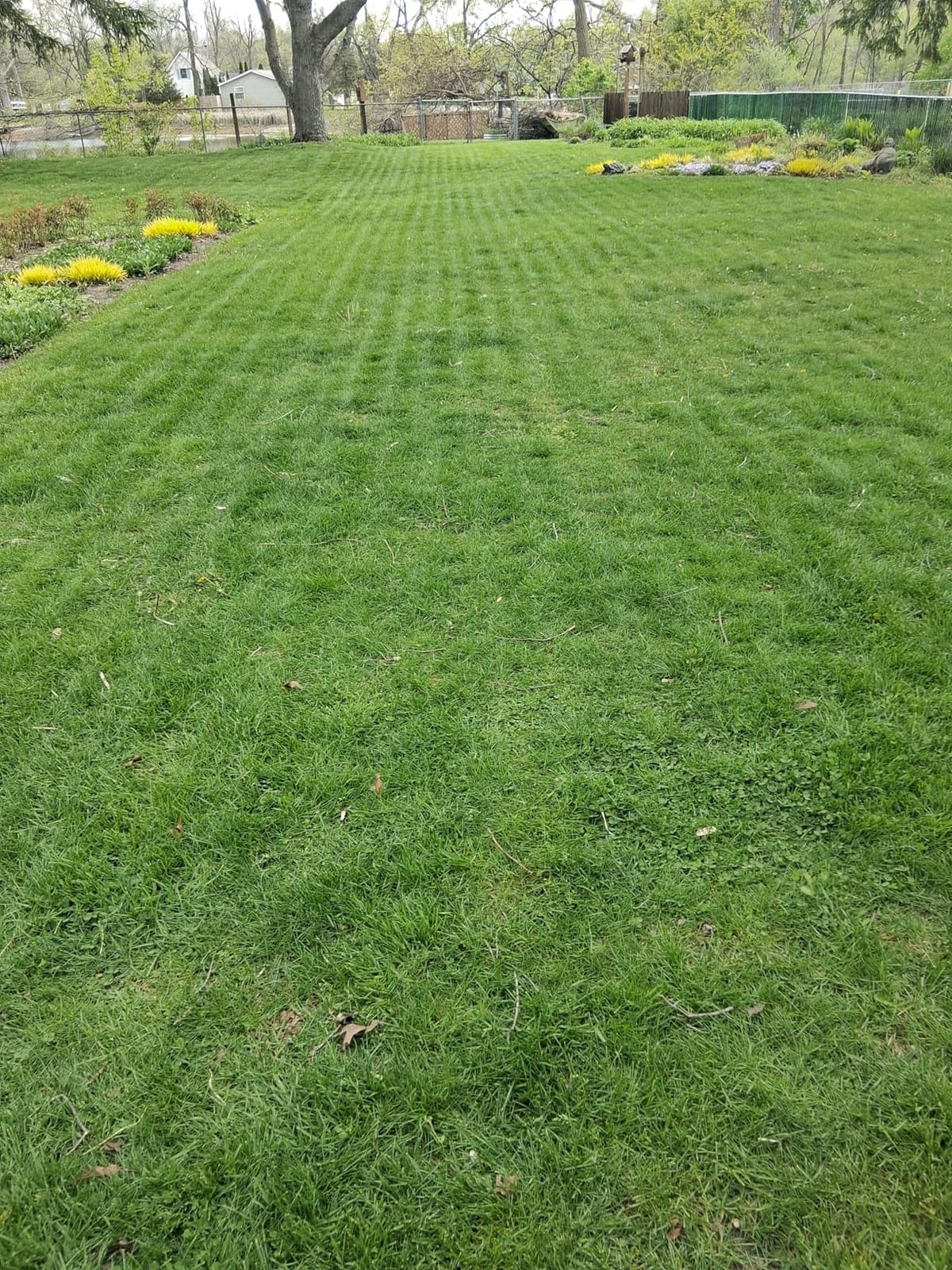 (2026 Upgrade) Mammotion LUBA mini 2 AWD 1500H Robot Lawn Mower, for 0.37 Acres, 360° LiDAR+Dual-Camera AI Vision, 80% Slope, DropMow, 20 Multi-Zone Management customer photo 1